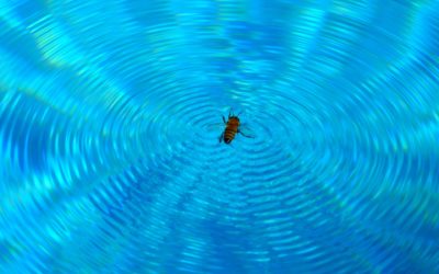 Is Your Life “Buzzing” or “Flowing”?